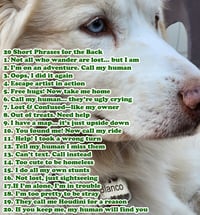 Image 5 of Large Custom Deep Engraved Stainless Steel Dog ID Tag Bone Shape Durable Lifetime Warranty