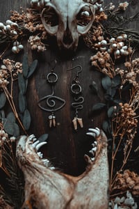 Image 1 of snake and eye 