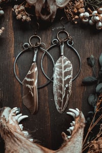 Image 2 of Hoop and feather