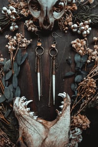 Image 1 of Quills 