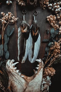 Image 1 of hen feathers