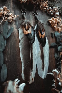 Image 3 of hen feathers