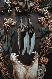 Image 4 of hen feathers
