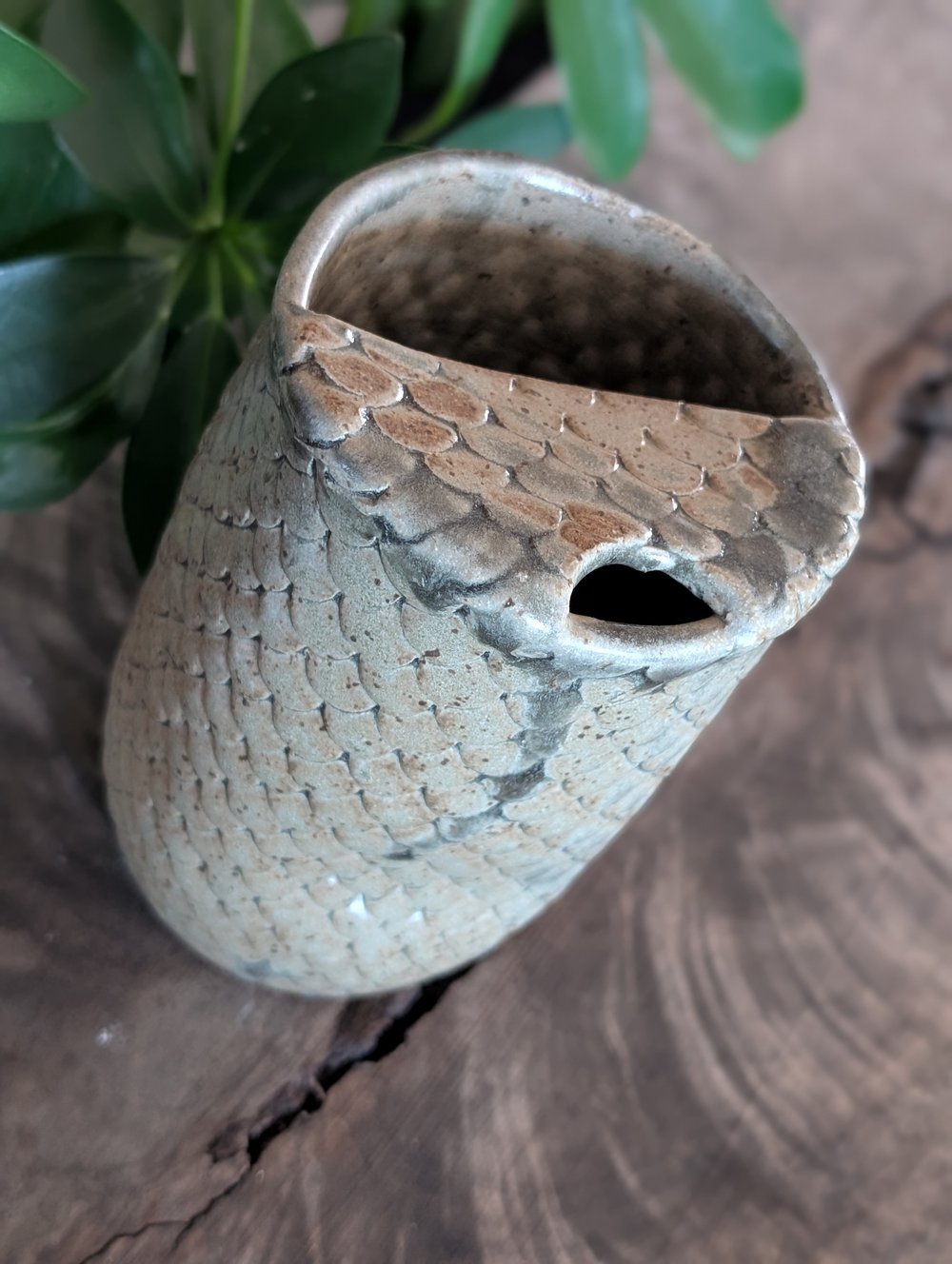 Dragon Scale Sippy Cup - Grey