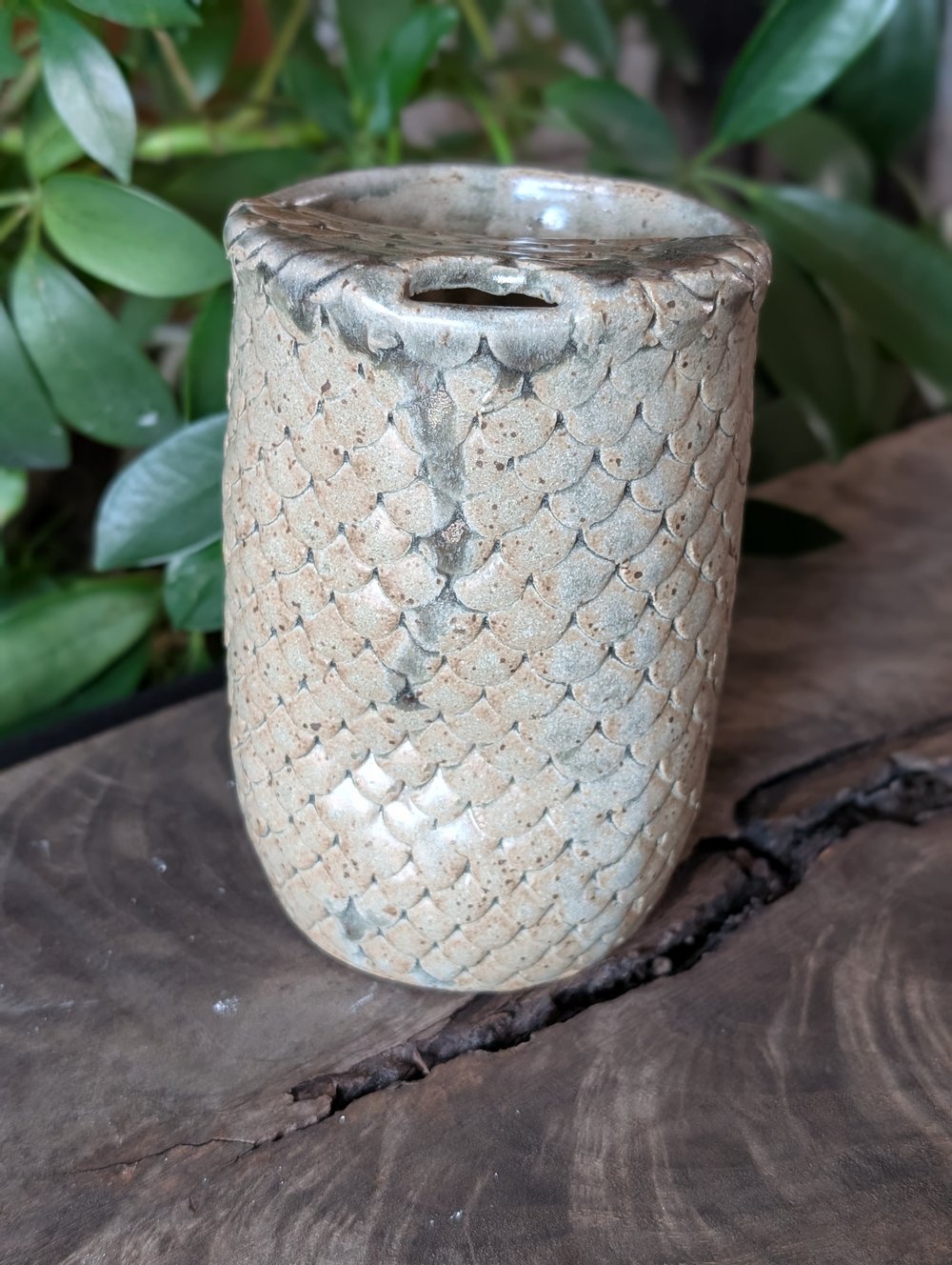 Dragon Scale Sippy Cup - Grey