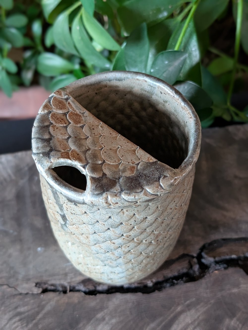 Dragon Scale Sippy Cup - Grey