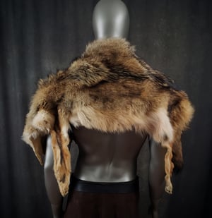 Image of Coyote Fur Cloak