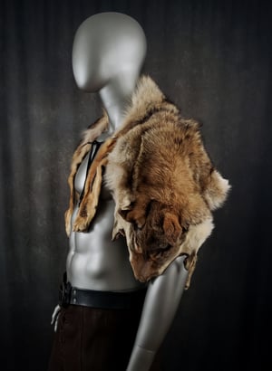 Image of Coyote Fur Cloak