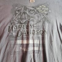 Image 2 of Horny Toad Harley