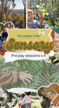 Sensory Play Session Pre Pay