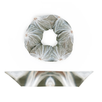 Image 4 of Gazania Tufts Hair Scrunchie