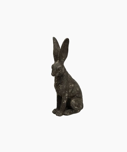 Image of Bashful Hare