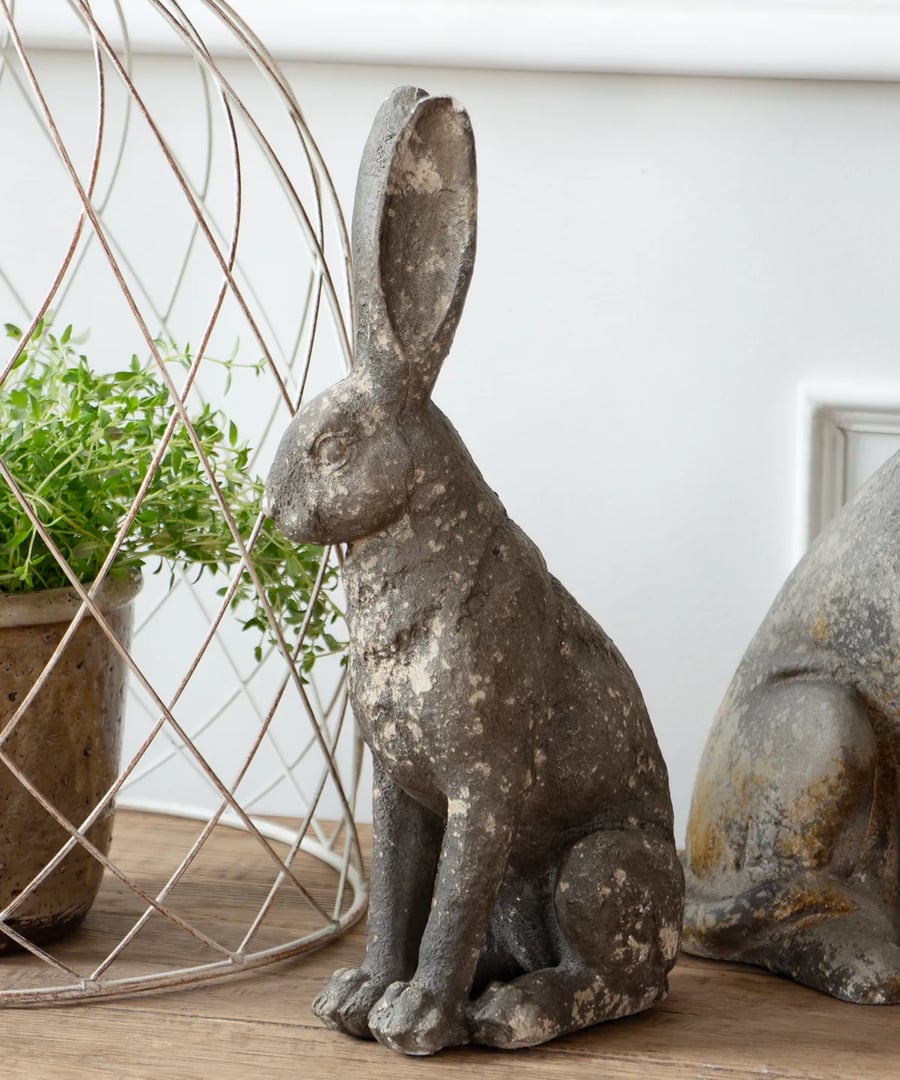 Image of Bashful Hare