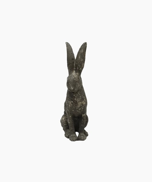 Image of Bashful Hare