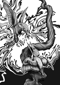 Image 2 of Kingfishers