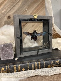 Image 5 of Beetle Frame