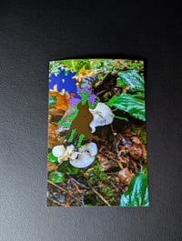 Image 2 of Art Prints