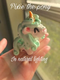 Image 3 of Pixie the pony