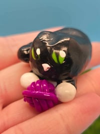 Image 2 of Calum the kitty
