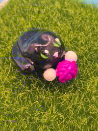 Image 3 of Calum the kitty
