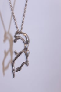 Image 1 of root necklace
