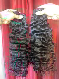 Image 1 of MKD Mongolia Curly 