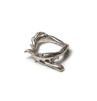 Anillo de espinas