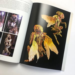 Image of "Fringe Zoology: The Specimens of Thomas Merrylin" book