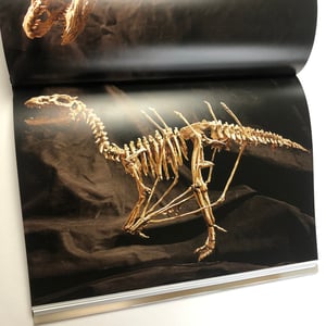 Image of "Fringe Zoology: The Specimens of Thomas Merrylin" book