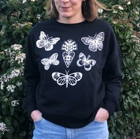 Image 1 of Sweat Papillons