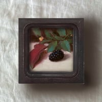 Image 3 of Blackberry study