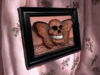 Image 5 of Butterfl’Skull in Frame