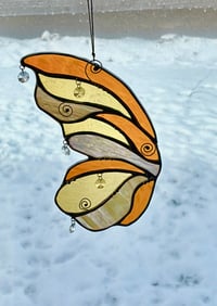 Image 4 of Butterfly Wings 