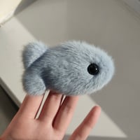 Mini fish