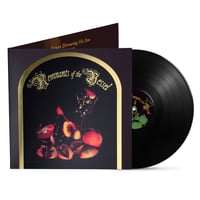 Image 4 of FAETOOTH - Remnants of the Vessel [vinyl lp]