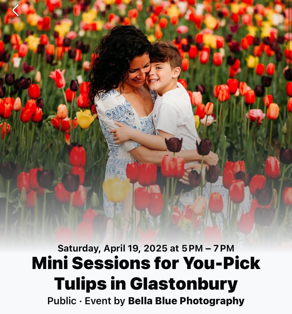 Image of U PICK TULIPS GLASTONBURY MINIS April 2025