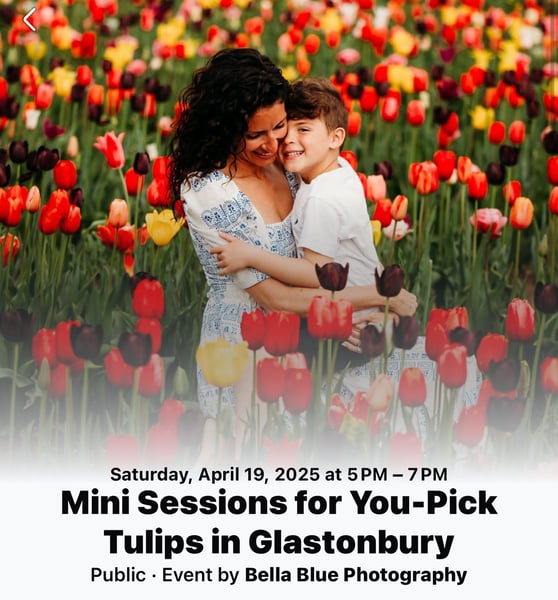 Image of U PICK TULIPS GLASTONBURY MINIS APRIL 19th 2025