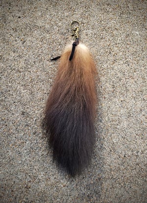 Image of Wolverine Tail 