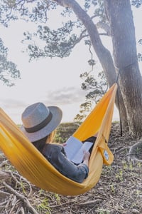 Pure Gold Double Hammock