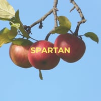 Pommier Spartan