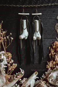 Image 1 of Raccoon bone earrings 