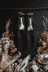 Image 7 of Raccoon bone earrings 