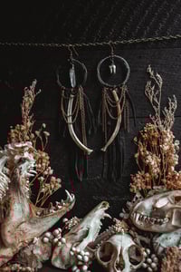Image 4 of Assemblage and rib