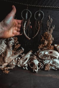 Image 7 of Assemblage and rib