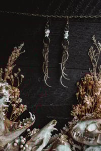 Image 1 of Cascading ribs