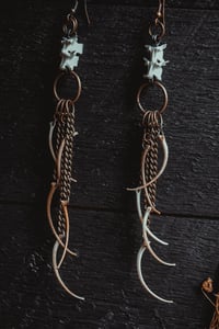 Image 6 of Cascading ribs
