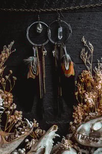 Image 4 of feather and teeth 