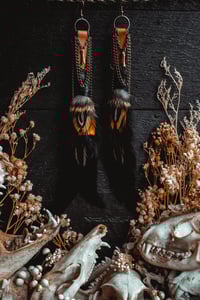 Image 1 of Auburn feather earrings