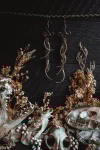 Image 1 of Snake ribs 