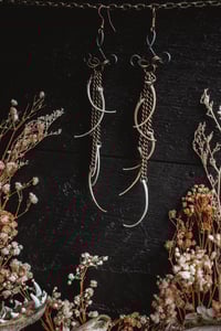 Image 6 of Snake ribs 
